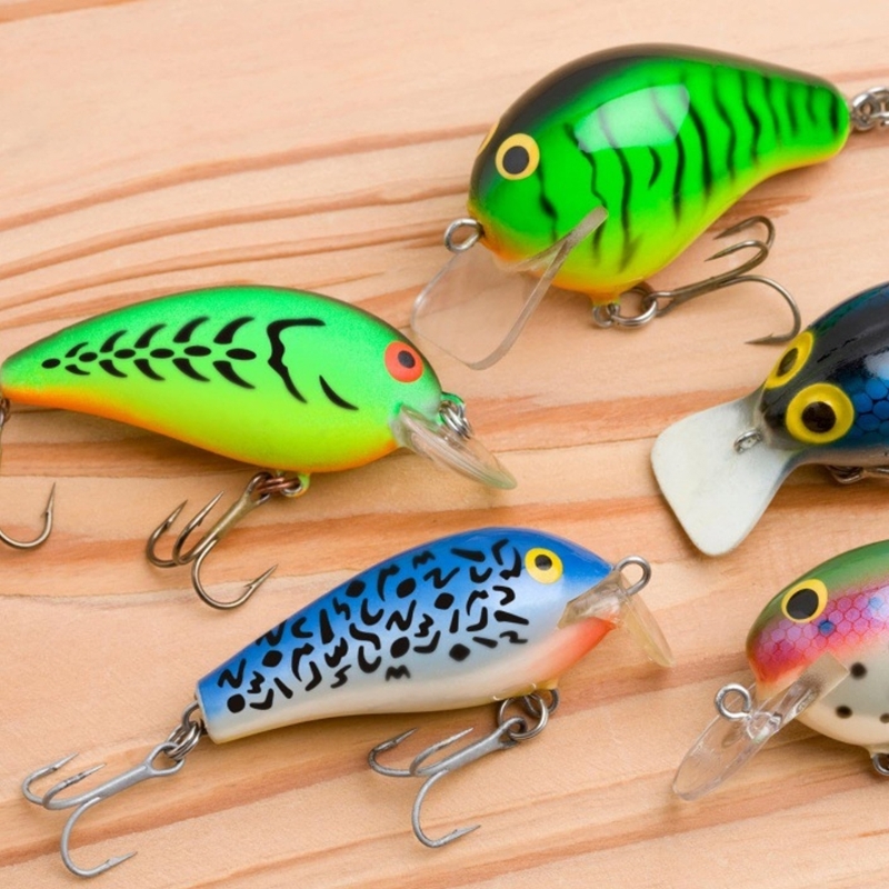 6 Buah Templat Umpan Pancing u - Fishing Quest ulasan dan harga